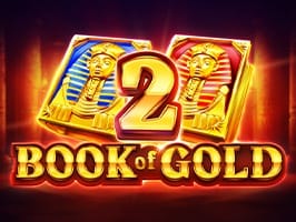 Book of Gold 2 Double Hit screenshot
